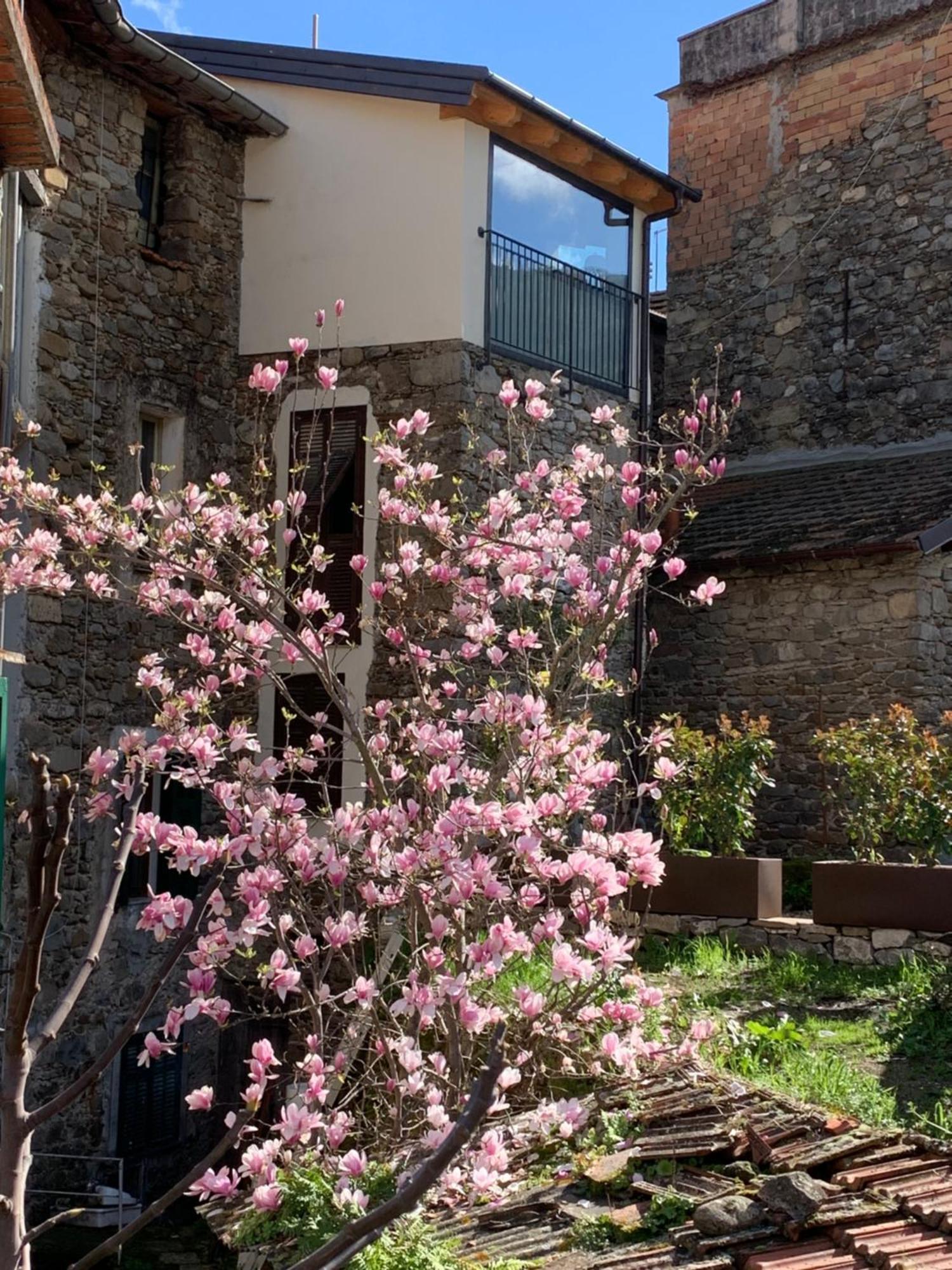 Vicolo Rosso 2 Villa Dolceacqua Kültér fotó